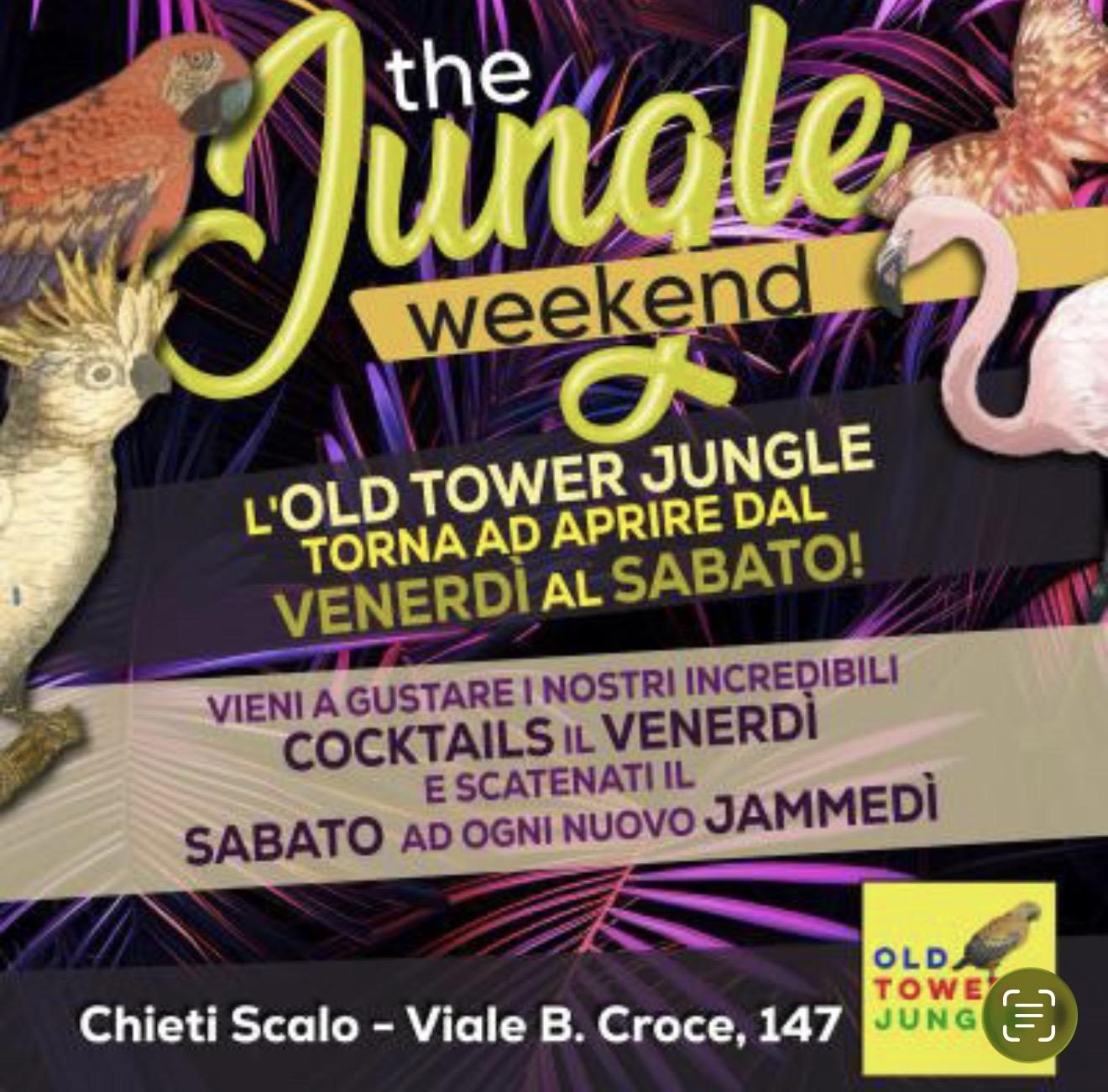 The Jungle Weekend flyer
